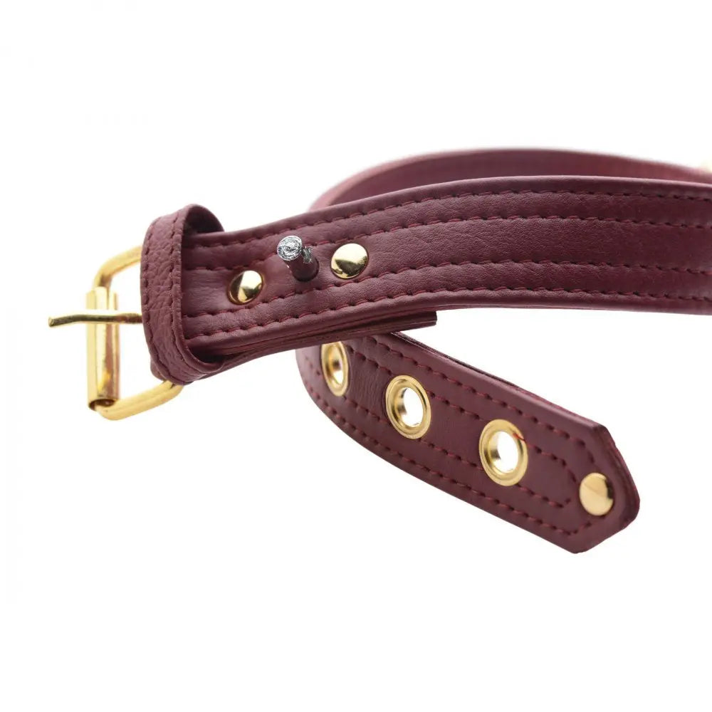 Strict Leather Luxury Bondage Collar Burgundy Locking Collar  Bondage Gear