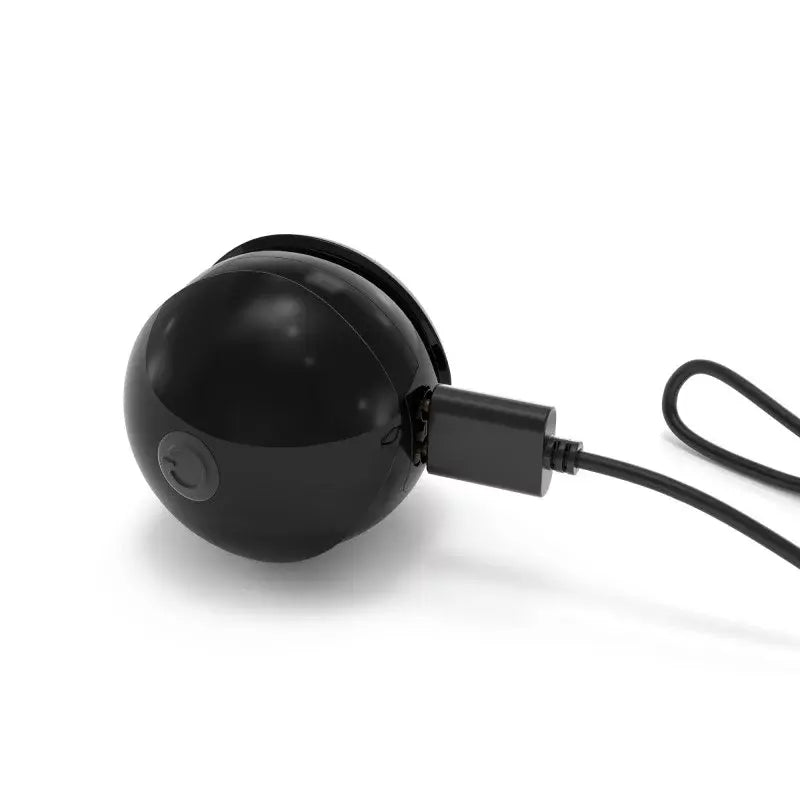 TRAINING BALLS  Accessories / Miscellaneous