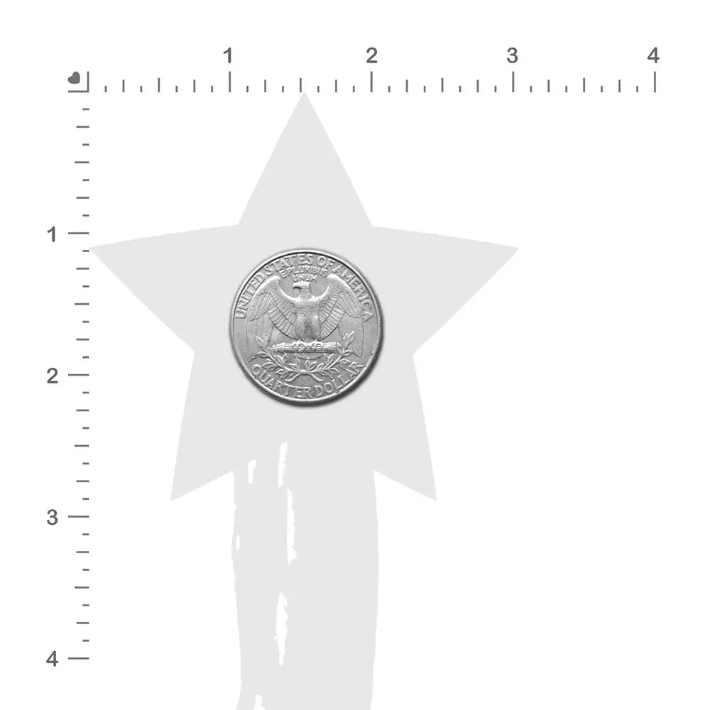 Tassel Pasties: Black Sparkle Star Pastease with Long Fringe Nipple Pasties  Lingerie - Pasties and Tassels