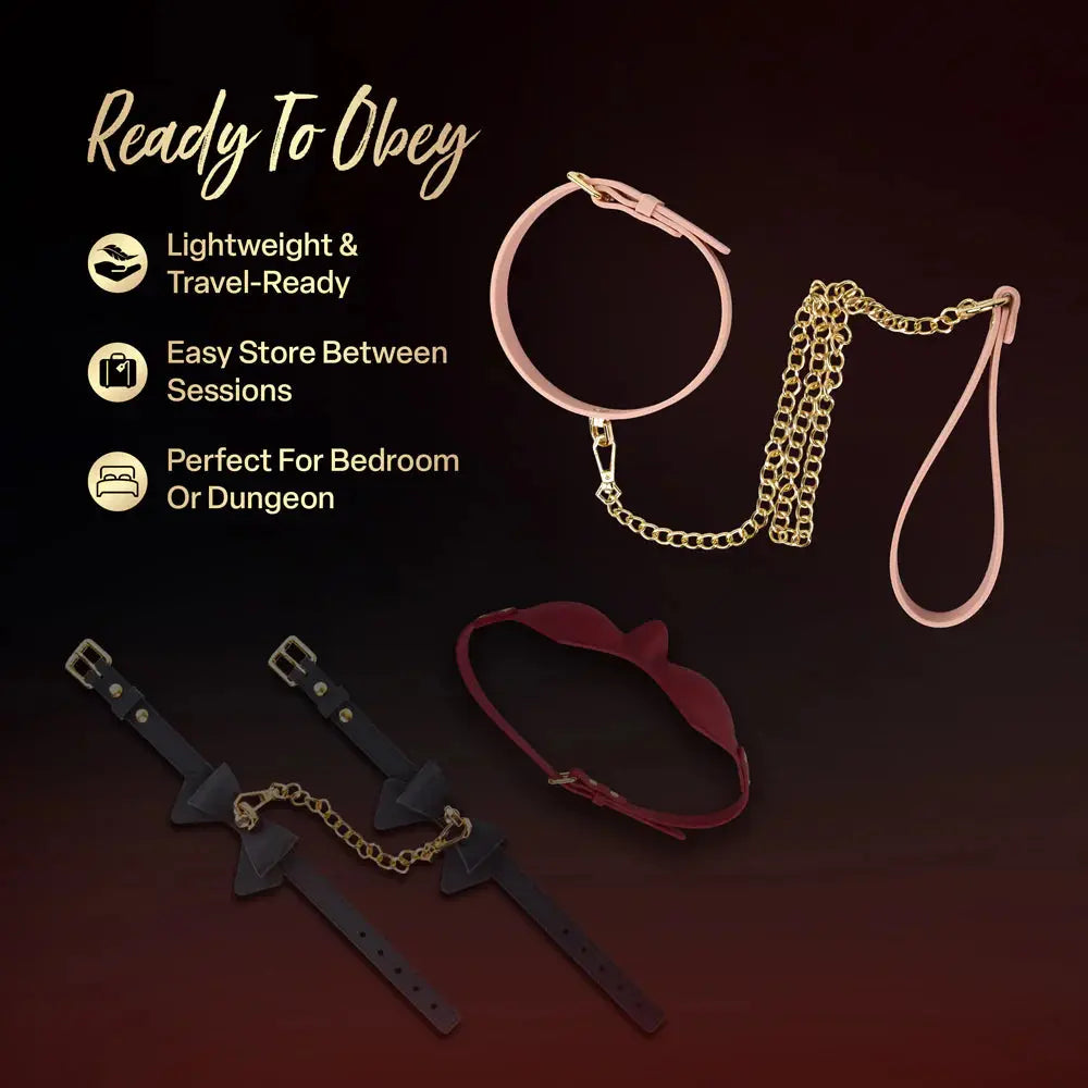Temptasia Ardor Bondage Collar and Leash - Pink Silicone  Collars and Leads