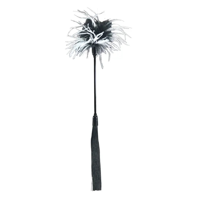 Whip & Tickle: Black and White  BDSM