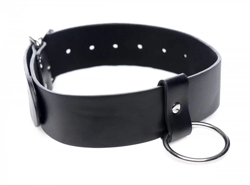 Wide Collar with O-ring BDSM Bondage Collar  Collars and Leads