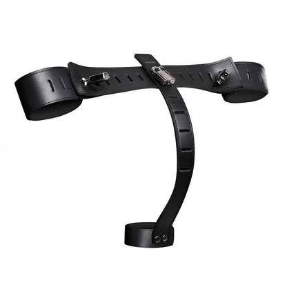 Wrist to Cock Locking Bondage Restraint CBT Toys Femdom BDSM Cuffs  Cock and Ball Torture