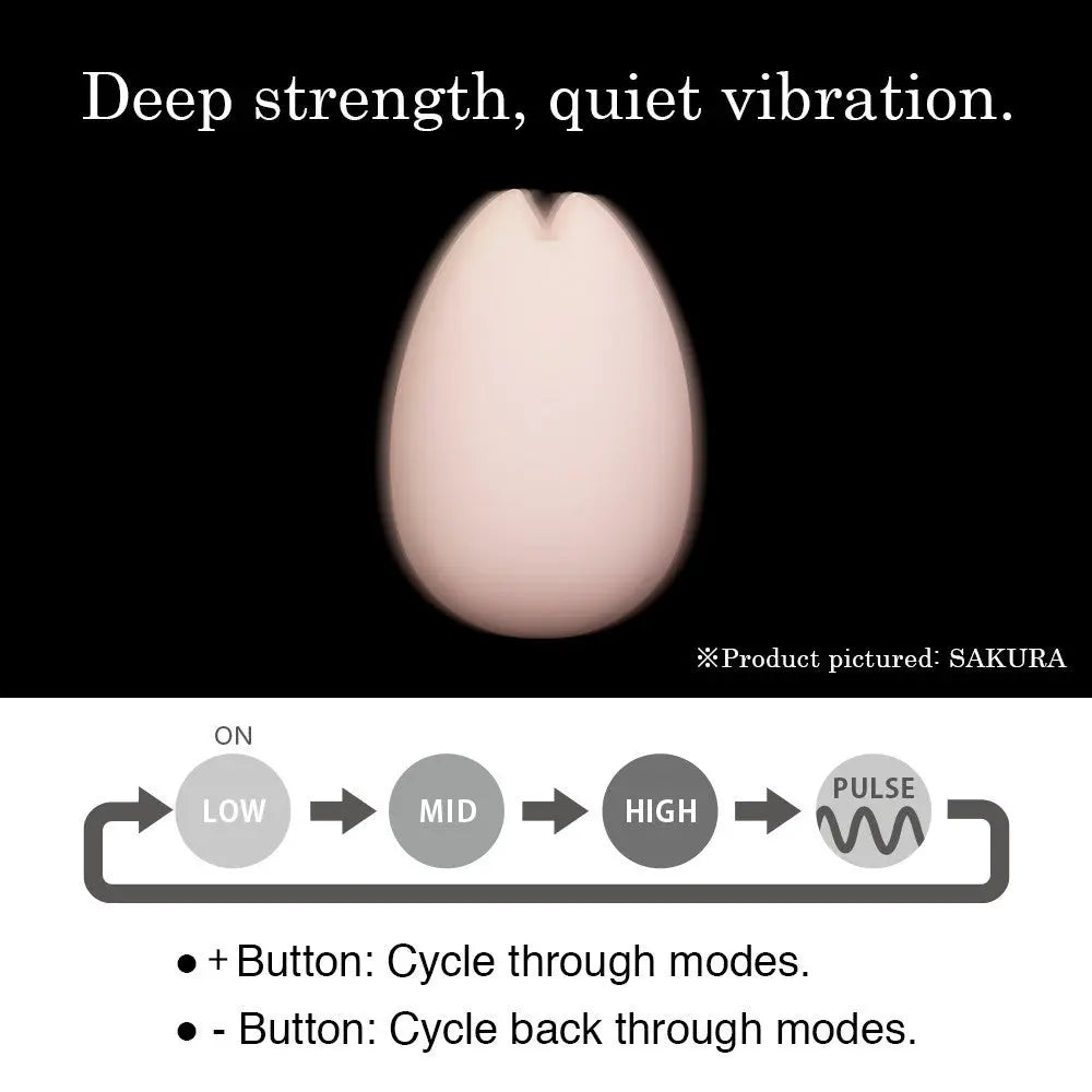 YUKI  Vibrators