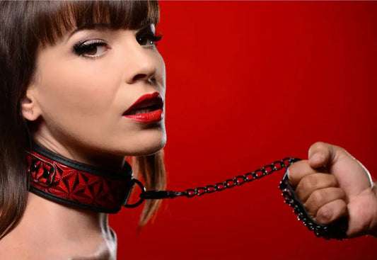 Crimson Tied Collar with Leash - Bound By Desire