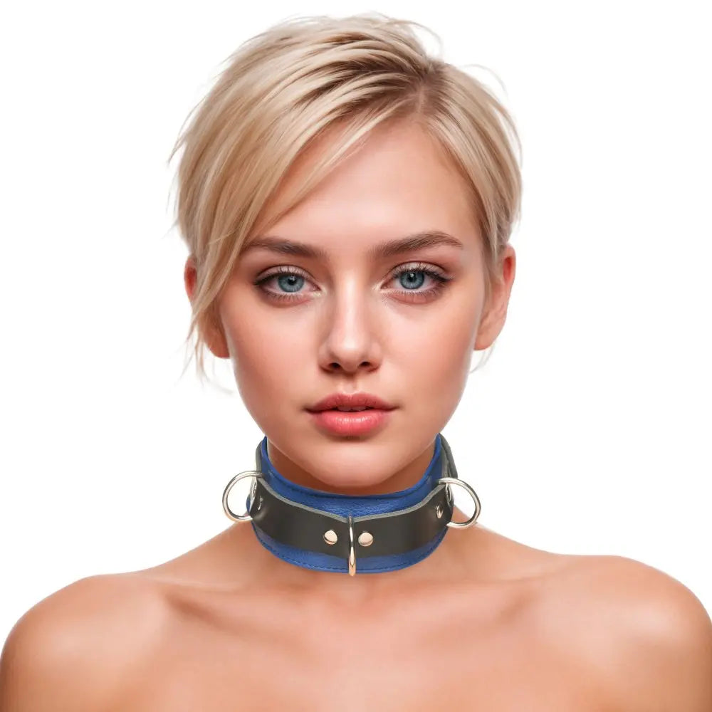 Strict Leather Deluxe Locking Collar - Blue and Black 