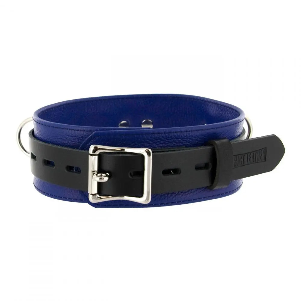 Strict Leather Deluxe Locking Collar - Blue and Black 