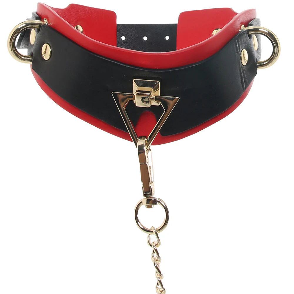 Milan Collection BDSM Collar with Bondage Leash