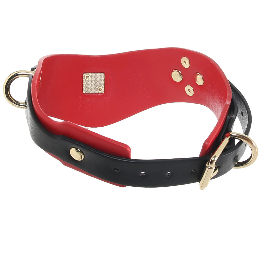 Milan Collection BDSM Collar with Bondage Leash