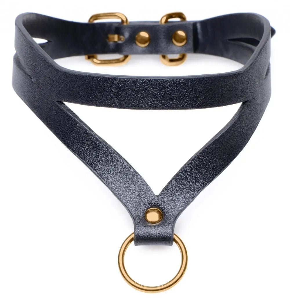 Black and Gold Collar with Leash Kit - Bound By Desire