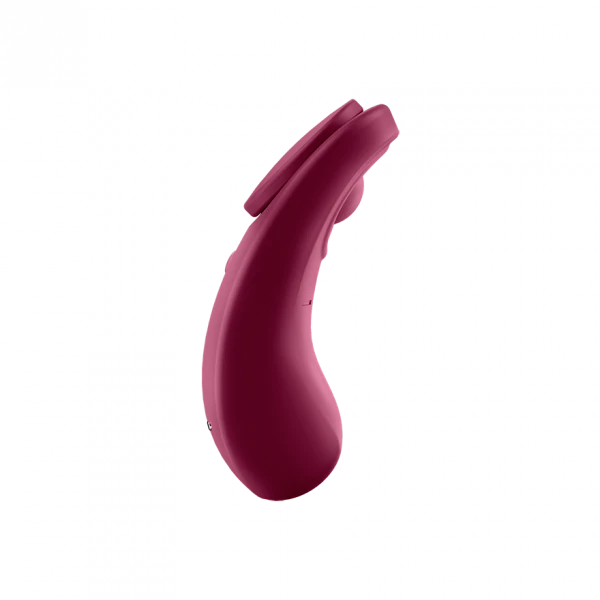 Sexy Secret - Wine Red 