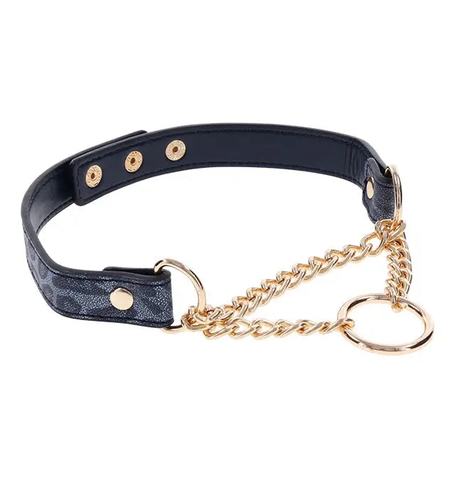 Cougar Day Collar  BDSM