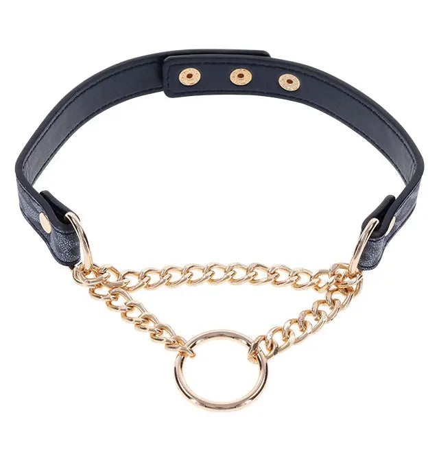 Cougar Day Collar  BDSM