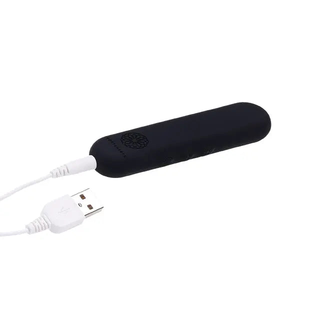 Pivot Flat Bullet – Black  Vibrators