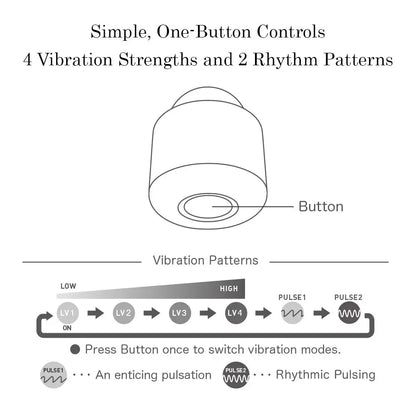 temari KAZE  Vibrators