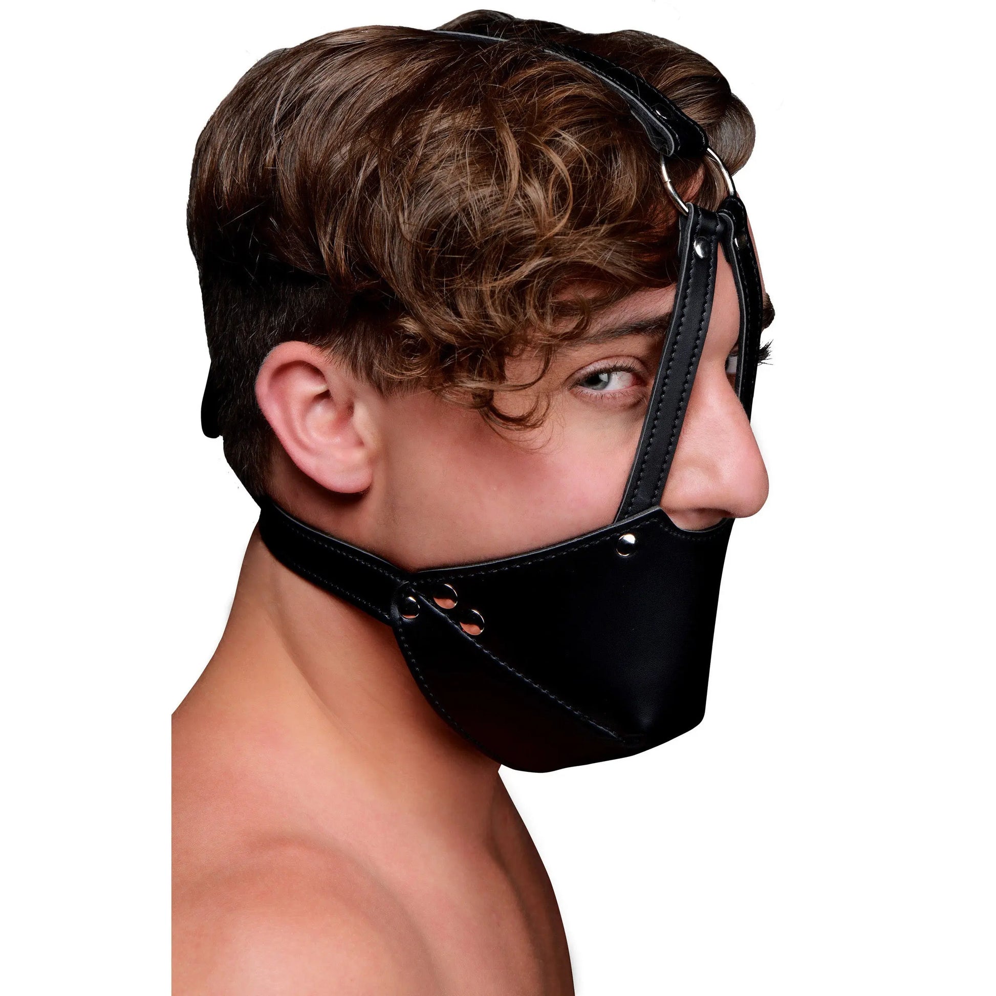 Mouth Harness with Ball Gag